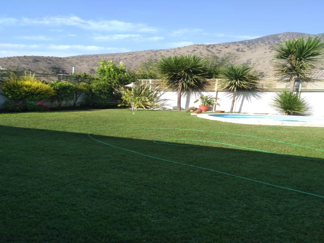 WhatsApp Image 2019-02-21 at 21.06.28.jpeg